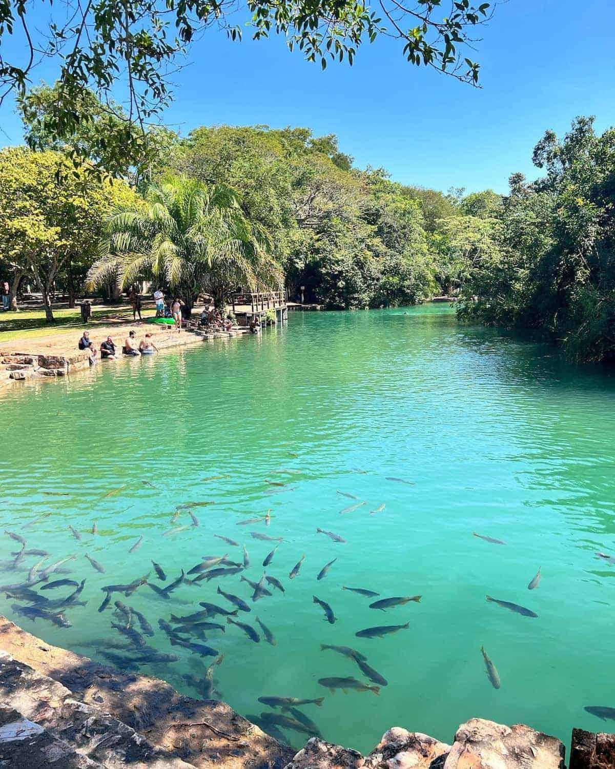Barra Bonita Pousada Бонито Экстерьер фото